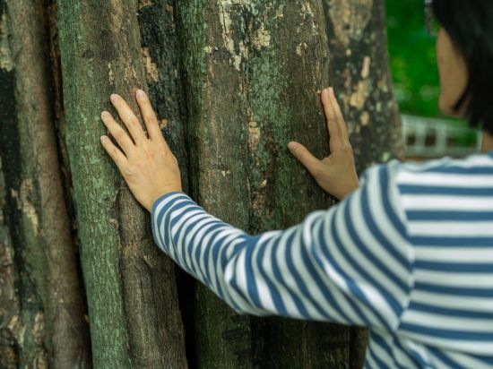 Podróże wellness – natura i smak