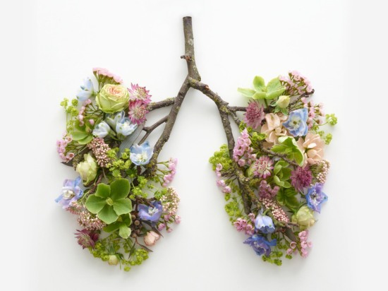 Gałęzie z różnego rodzaju kwiatami symbolizujące płuca podkreślają wagę oddechu.